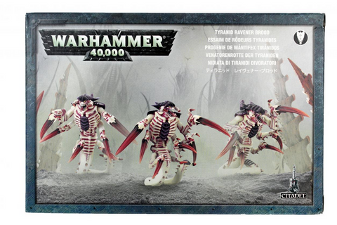 Ravener Brood