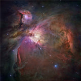ORION NEBULA (3'x3')