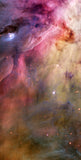 ORION NEBULA (6'x3')