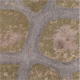 Forgotten Realms (4'x4')