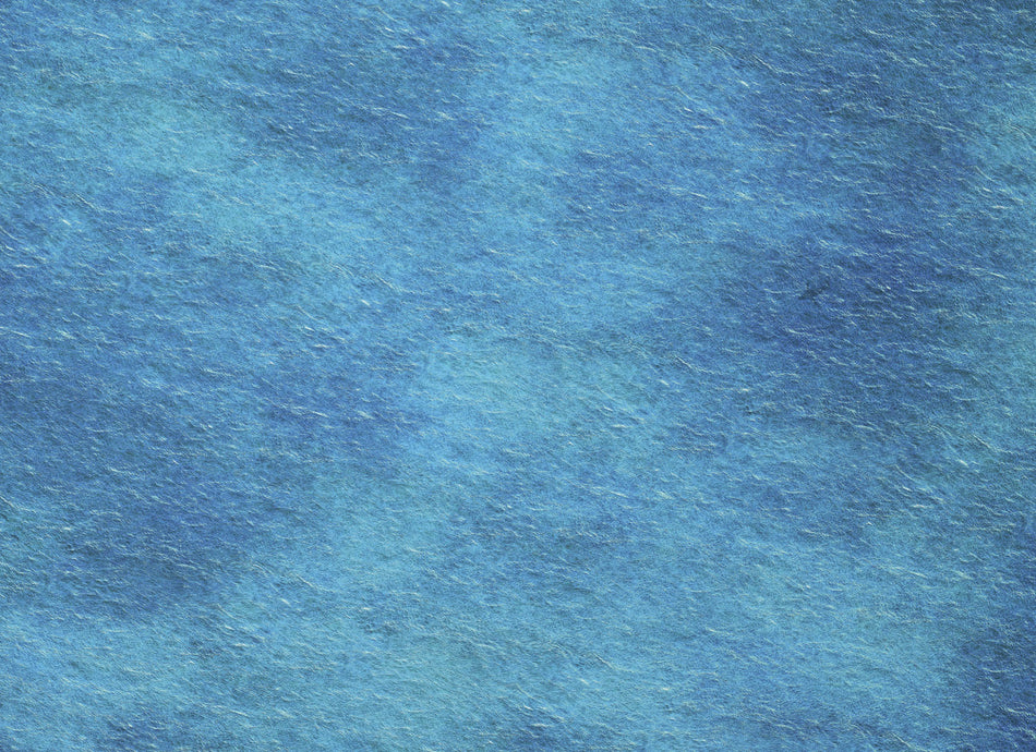 SEA (6'x4')