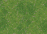 GRASS (6'x4')