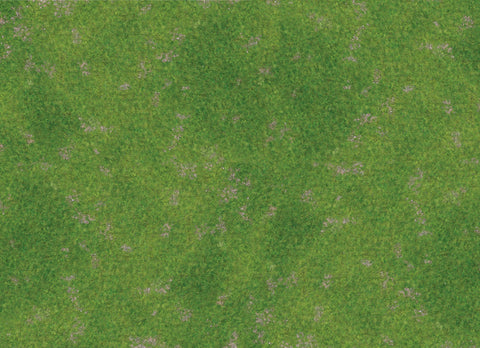 GRASS (6'x4')