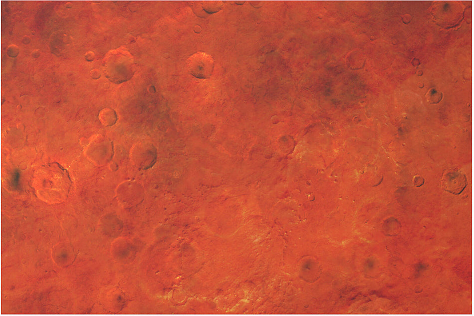 Mars (6'x4')