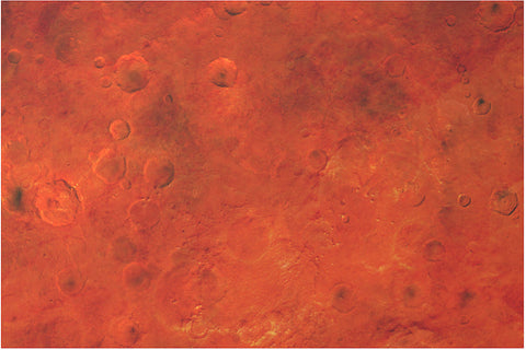 Mars (6'x4')