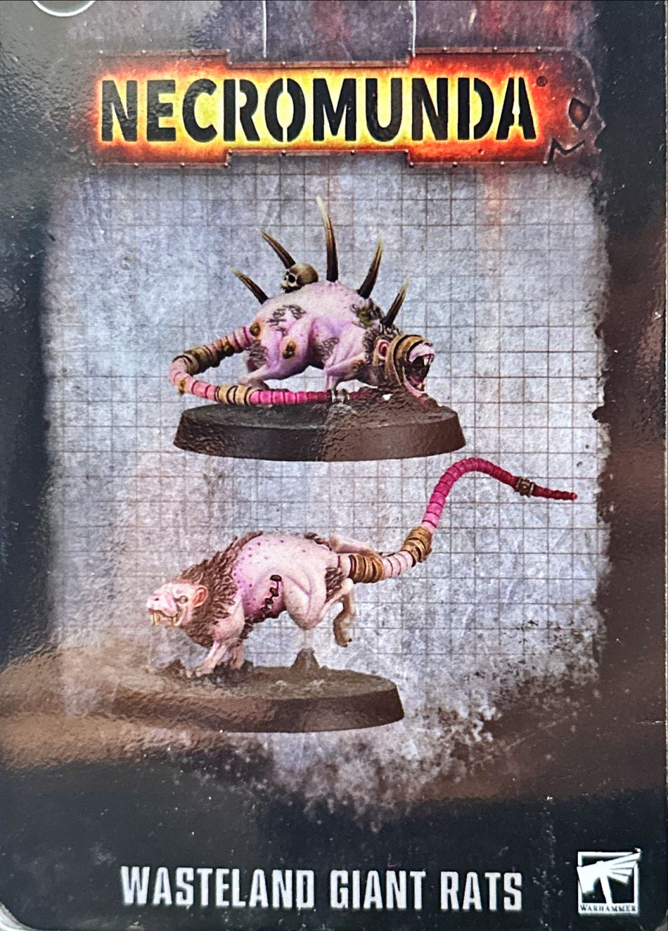 Wasteland Giant Rats