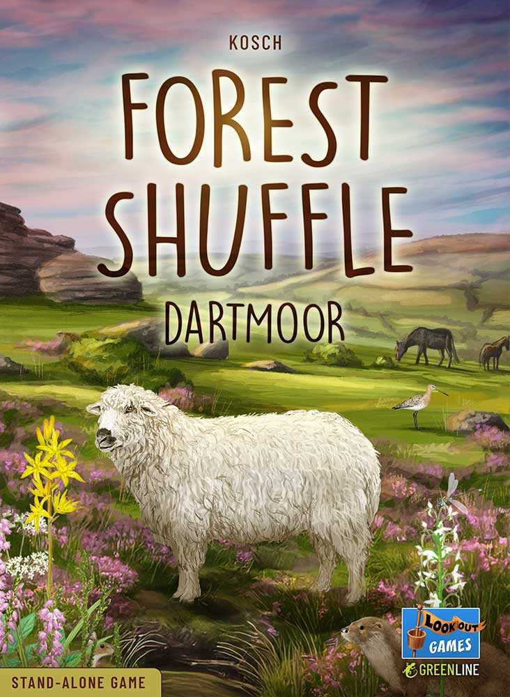 Forest shuffle - Dartmoor