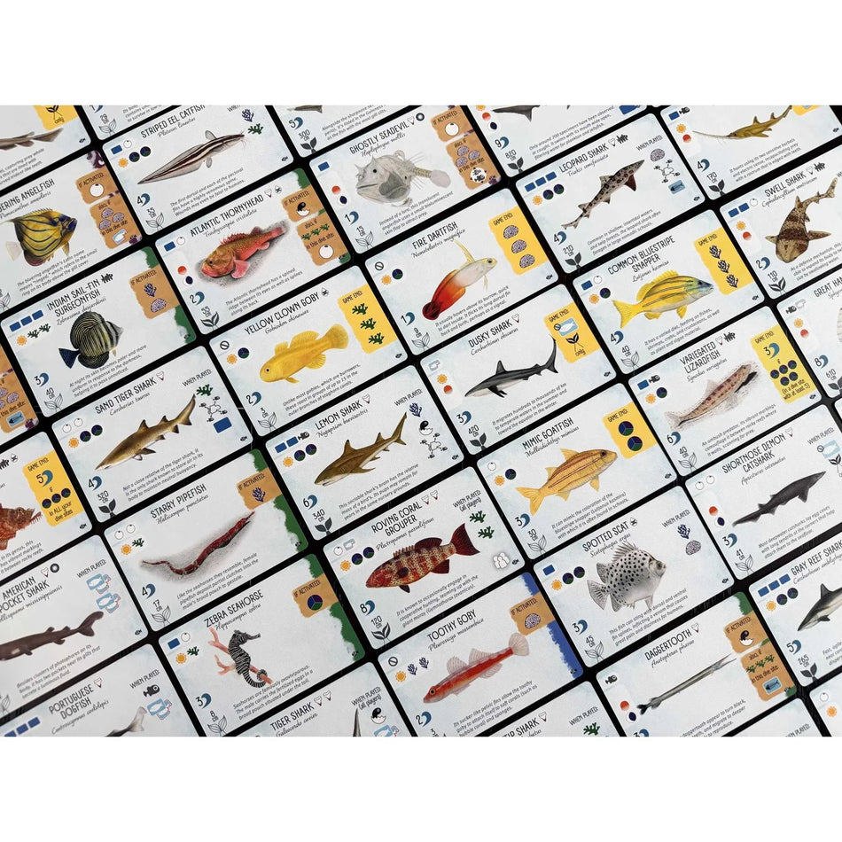 FINSPAN: Sharks & Reefs