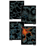 PATHFINDER Flip-Mat: Darklands Dangers Multi Pack