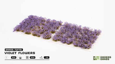 Violet Flowers