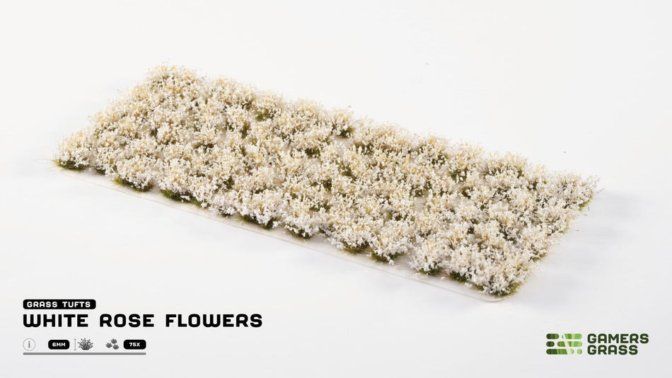 White Rose Flowers