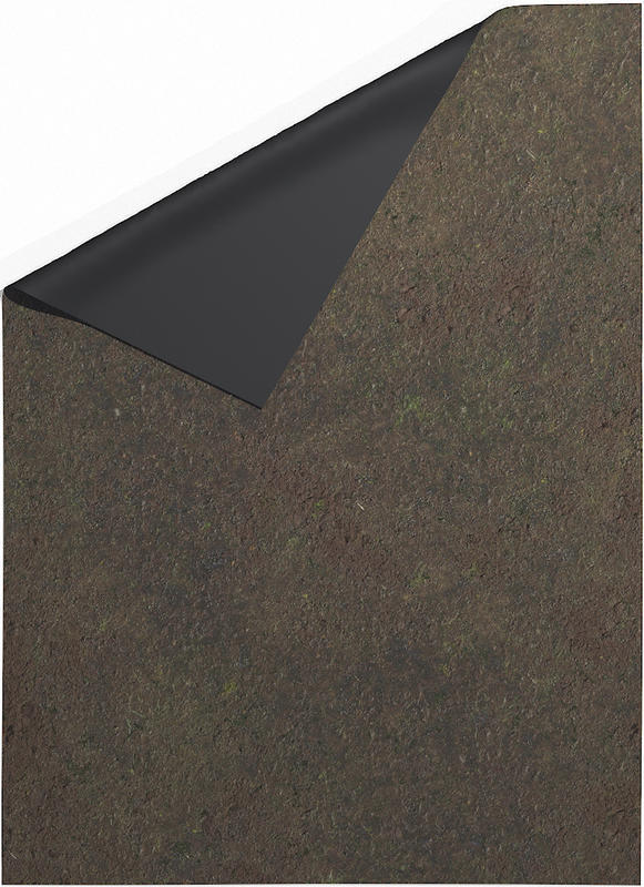 SWAMP (44"x30")