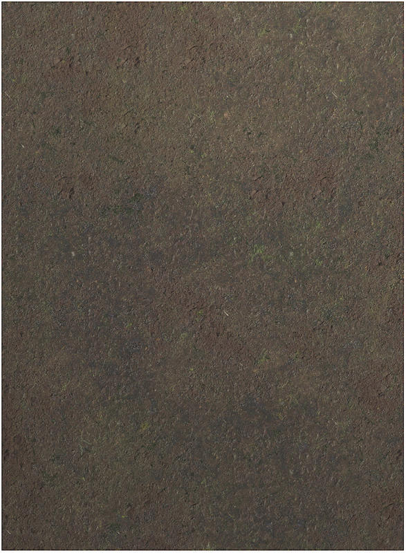 SWAMP (44"x60")