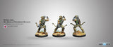 Hardcases, 2nd Irregular Frontiersmen Battalion