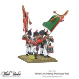 British Line Infantry (Peninsular) (24)