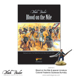 Blood On The Nile (The Mahdist Wars)
