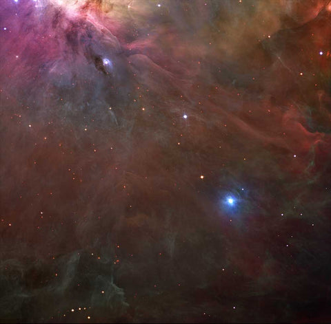 ORION CLOSE UP (3'x3')