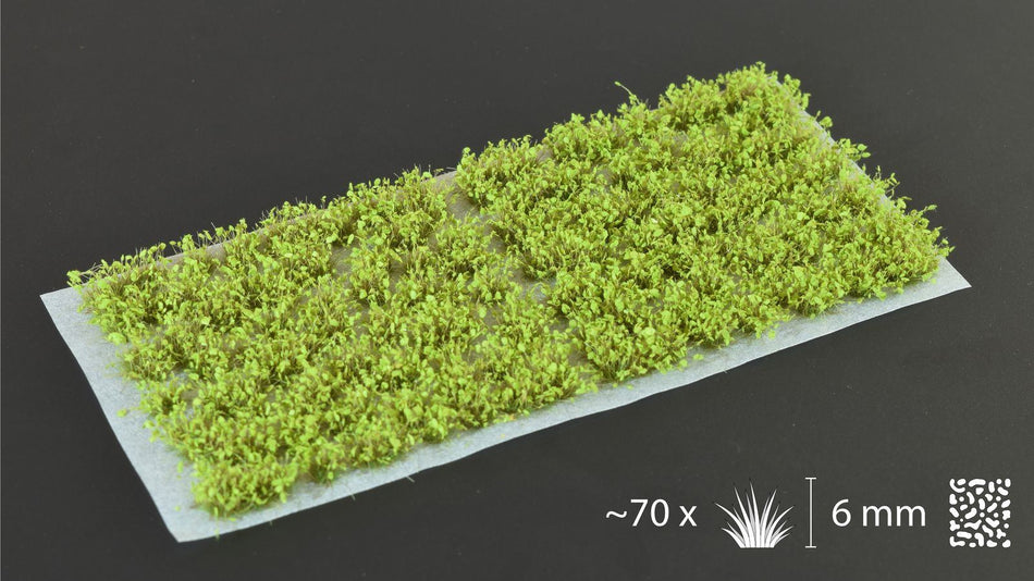 Green Shrub