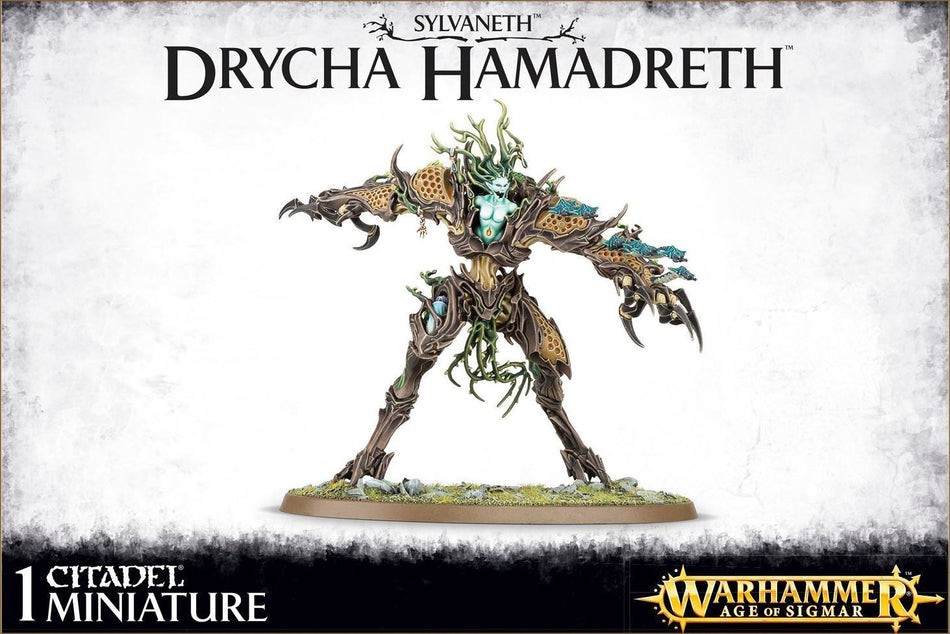 DRYCHA HAMADRETH