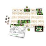 CODENAMES DUET