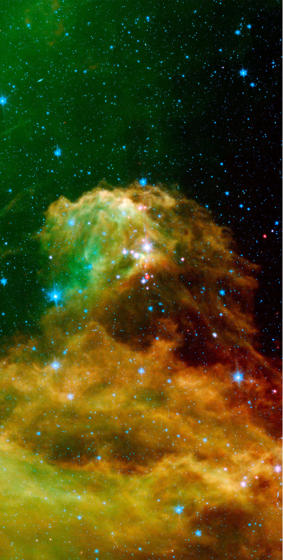 BARNARD 30 (6'x3')
