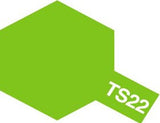 Light Green (TS-22)