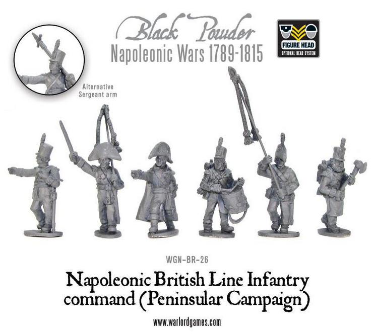 Napoleonic British Line Infantry command (Pensinsular War)