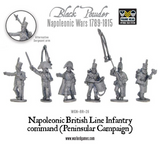 Napoleonic British Line Infantry command (Pensinsular War)