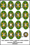 EIR Auxiliary shield designs 1