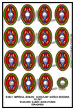 EIR Auxiliary shield designs 3