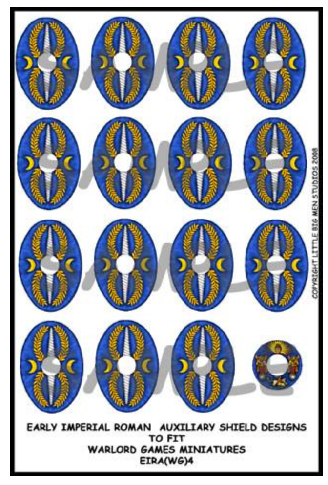 EIR Auxiliary shield designs 4