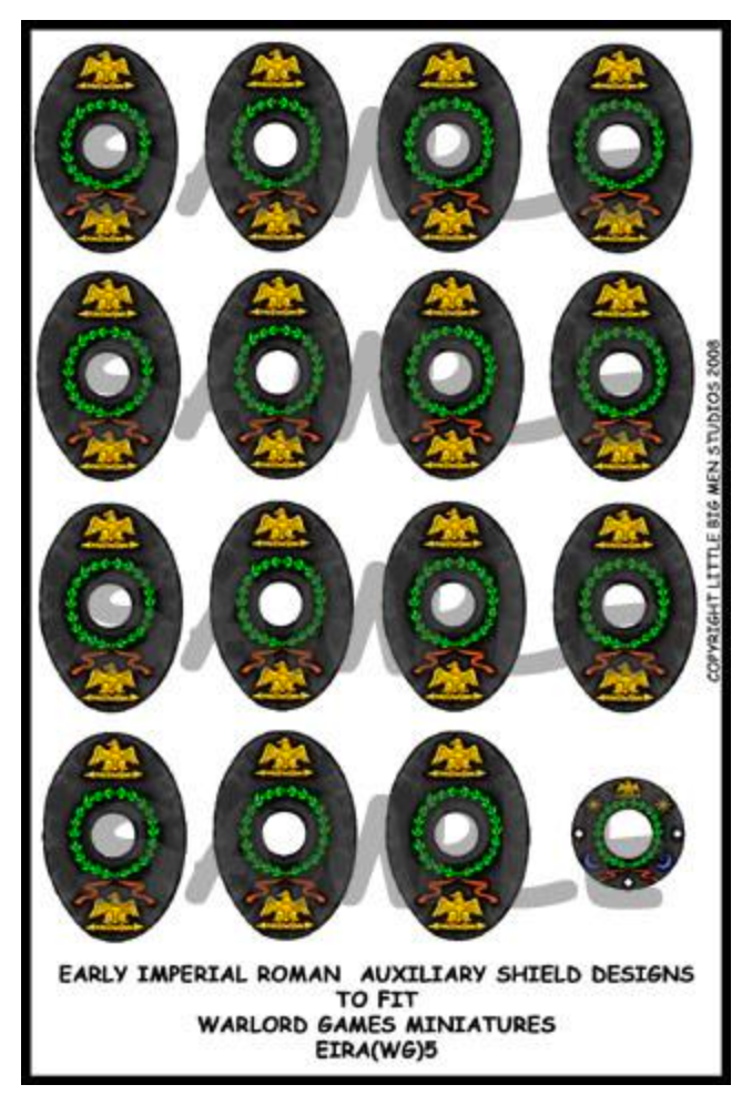 EIR Auxiliary shield designs 5