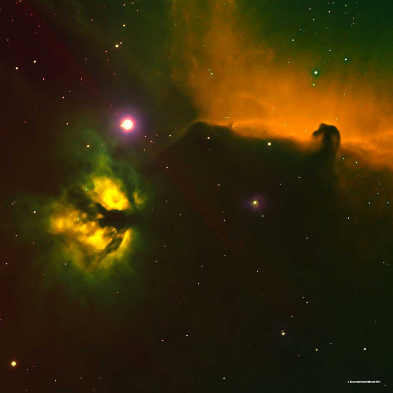 HORSE AND FLAME NEBULA (3'x3')