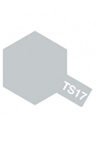 Gloss Aluminium (TS-17)