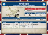Harrier Close Air Support Flight (x2)