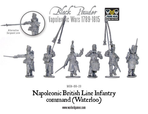Napoleonic British Line Infantry command (Waterloo campaign)