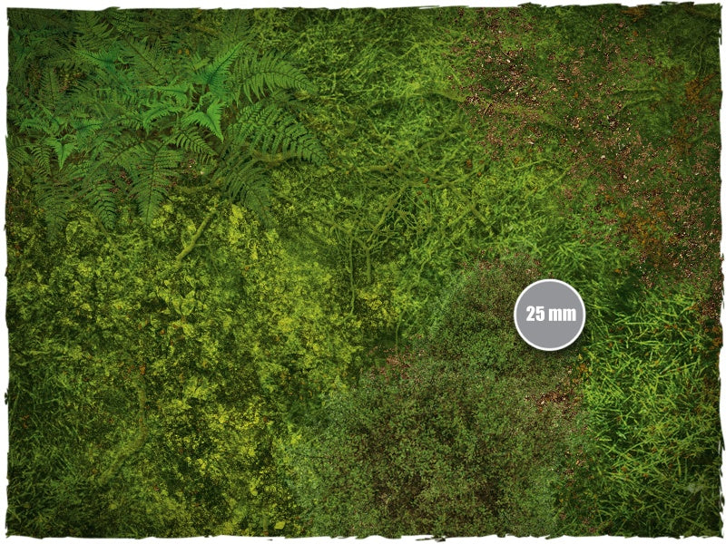 FOREST (6x3)