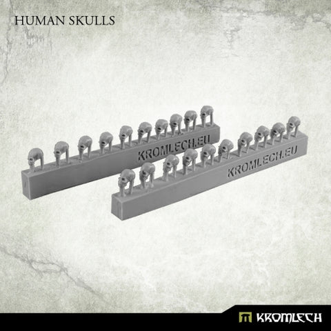 Human Skulls (20)