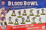 DARK ELF BLOOD BOWL TEAM