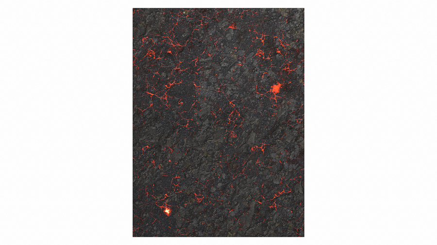 Double Sided - HELL ON EARTH and SWAMP 22"x30"