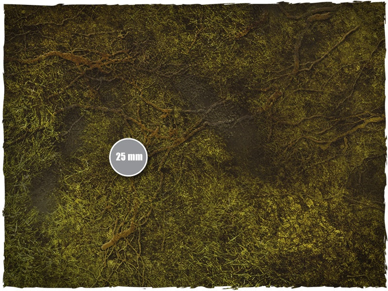 SWAMP (6'x3')