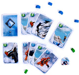 K2