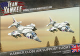 Harrier Close Air Support Flight (x2)