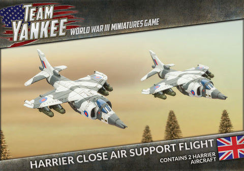 Harrier Close Air Support Flight (x2)