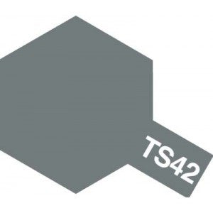 Light Gun Metal (TS-42)