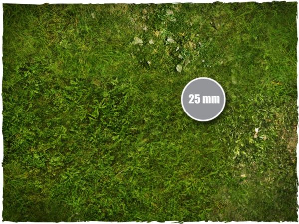 GRASS (4'x4')