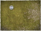 PLAINS (6'x4')